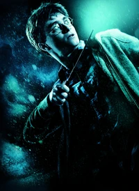 Harry Potter in a Magical Encounter: The Half-Blood Prince