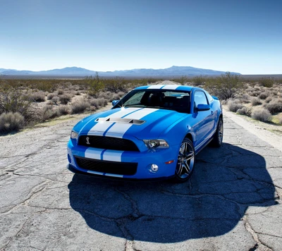 blue, ford, gt, mustang, road