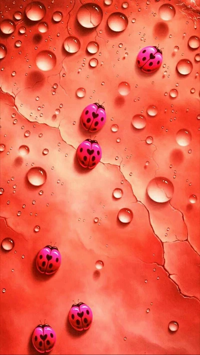 Pink Ladybugs Among Water Droplets on Red Surface