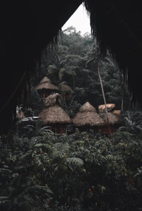 Casas na árvore isoladas em meio à exuberante selva