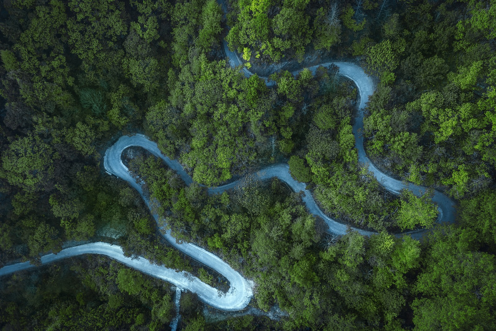 Aerial view of winding road in the middle of a forest (forest, cold, road, aerial view, drone photo)