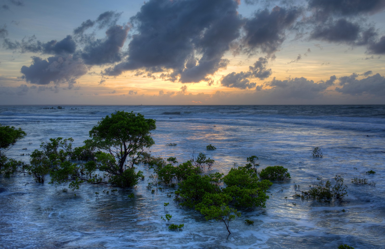 A view of a sunset over the ocean with trees in the water (sea, nature, ocean, water, horizon)