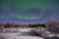 Majestätische Aurora über einer schneebedeckten Landschaft