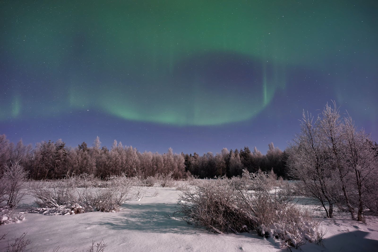 Arafed view of a snowy field with a green aurora bore (aurora, earth, atmosphere, ecoregion, natural landscape)