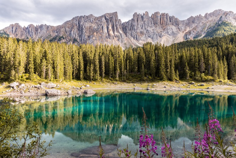 Близкий план озера, окруженного деревьями и горами (lake carezza, италия, зеркальное озеро, горный хребет, пейзаж)