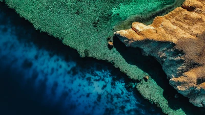 Vista aérea del vibrante arrecife de coral a lo largo de la impresionante costa