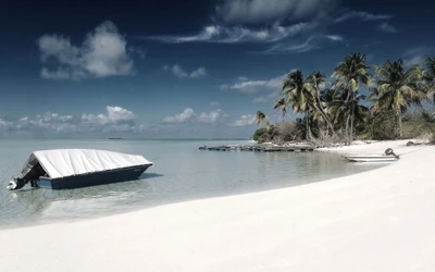 Plage tropicale sereine avec un bateau et des palmiers