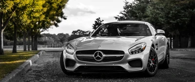 Sleek Mercedes-Benz SLS AMG in a striking black and white setting.