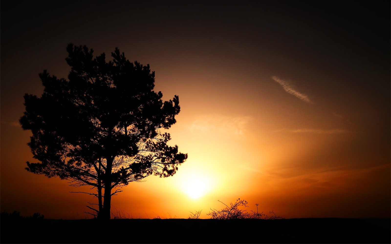 Silhouette d'un arbre contre un ciel de coucher de soleil avec un nuage (lever de soleil, nature, arbre, nuage, coucher de soleil)