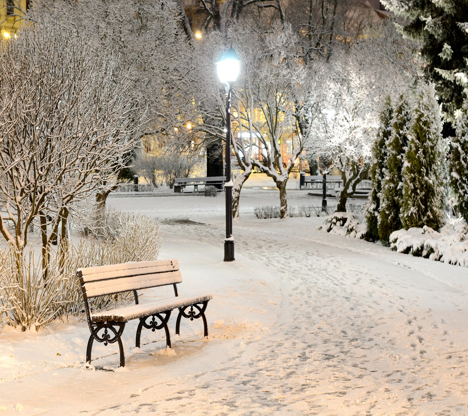 Un banc enneigé au milieu d'un parc enneigé la nuit (parc, hiver)