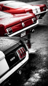 backs, car, fast, muscle wallpaper