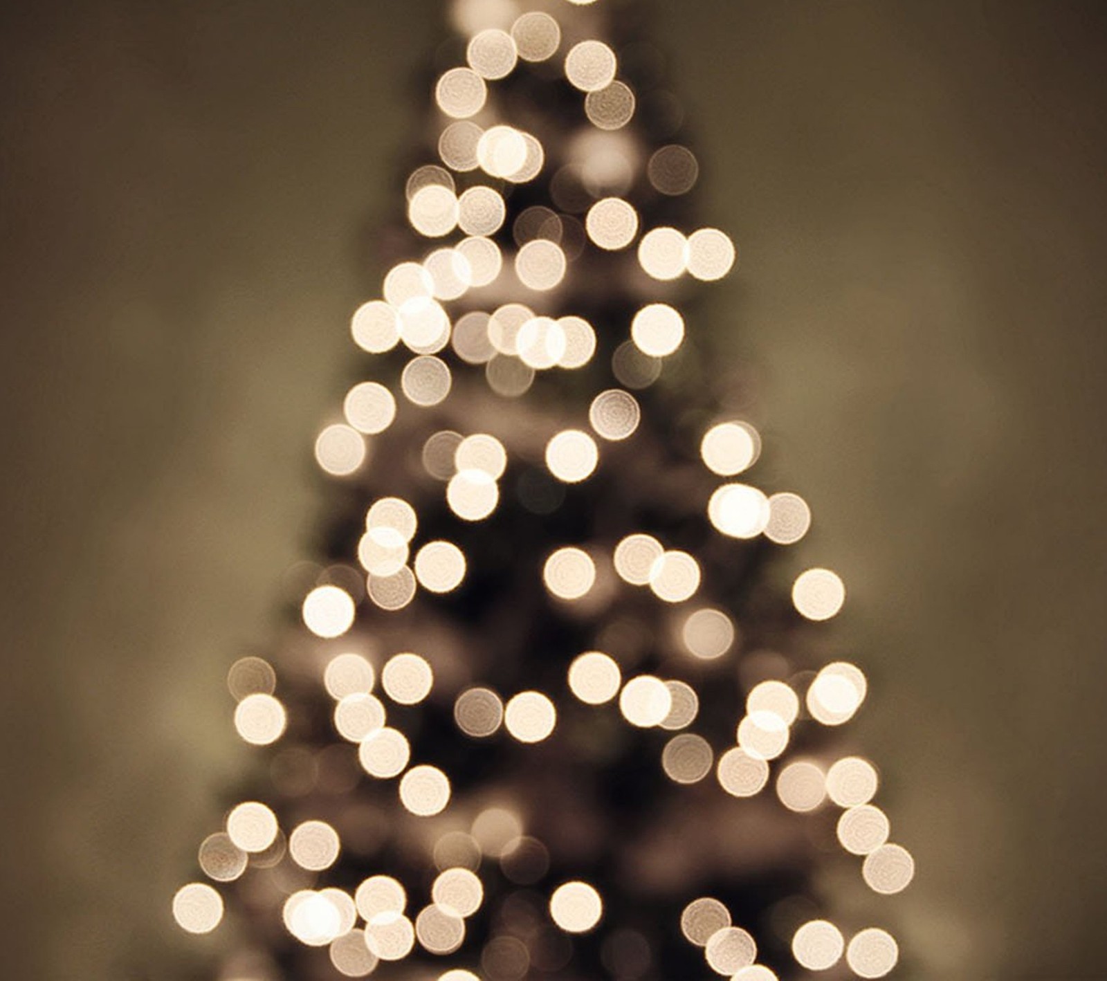 A close up of a christmas tree with lights on it (christmas, holiday, light)