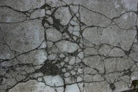 Cracked concrete surface showcasing intricate patterns and textures.