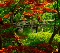 Serene Bridge Amidst Vibrant Autumn Foliage