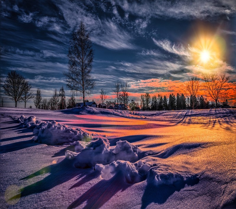 A view of a snowy field with a bright sun in the background (landscape, winter)