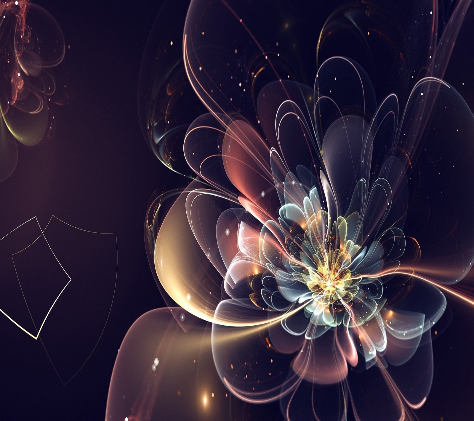 Abstract fram flower with many petals and glowing lights (abstract, flowers)