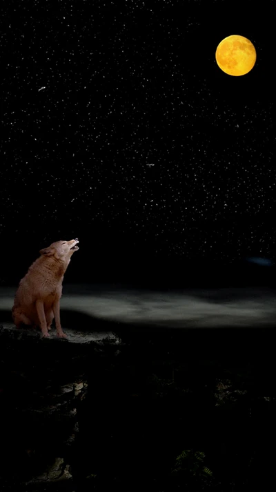 Lobo uivante sob um céu estrelado iluminado pela lua