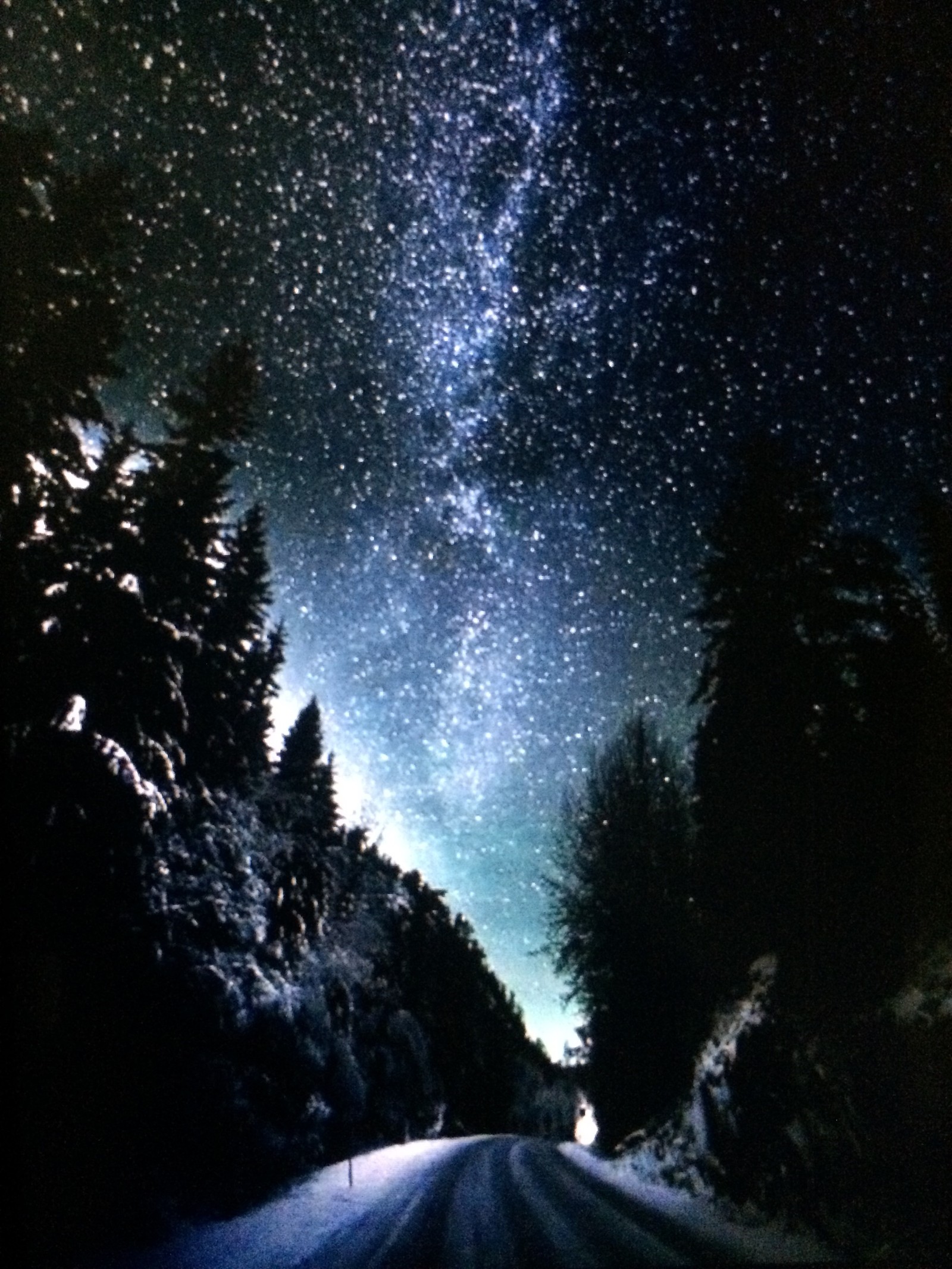 Céu estrelado sobre uma estrada coberta de neve com árvores e neve (estrelas, fantasia)