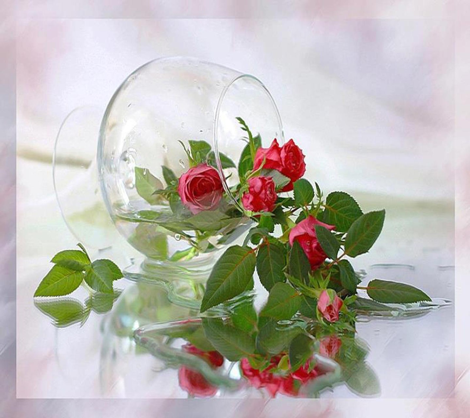 There is a glass vase with a rose inside of it (roses, wallpaper)