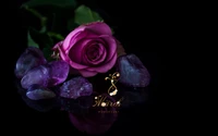 Rose violette avec des cristaux d'améthyste pour la Journée internationale des femmes