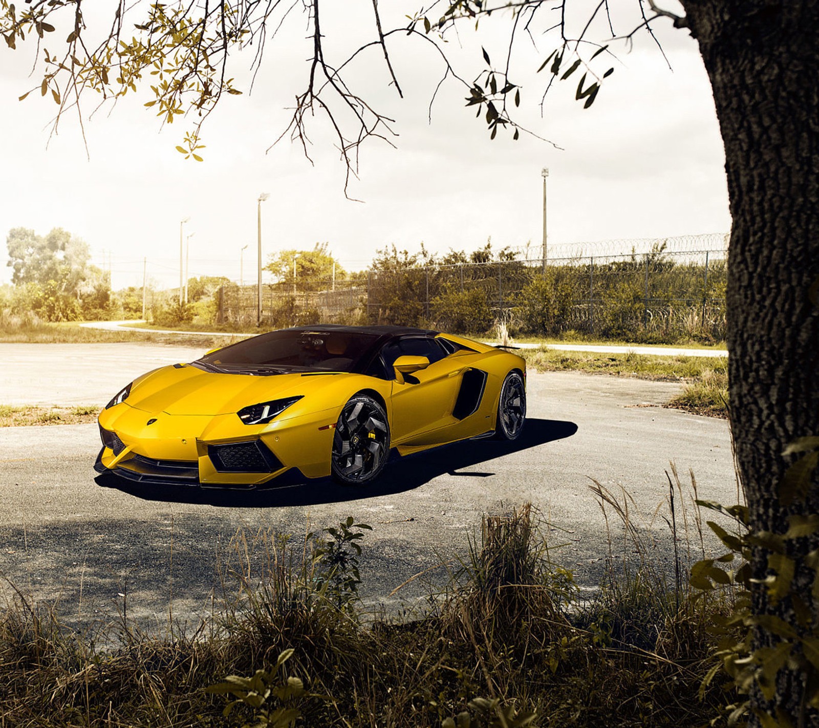 Um close de um carro esportivo amarelo estacionado em uma estrada. (italiano, lamborghini, supercarro)