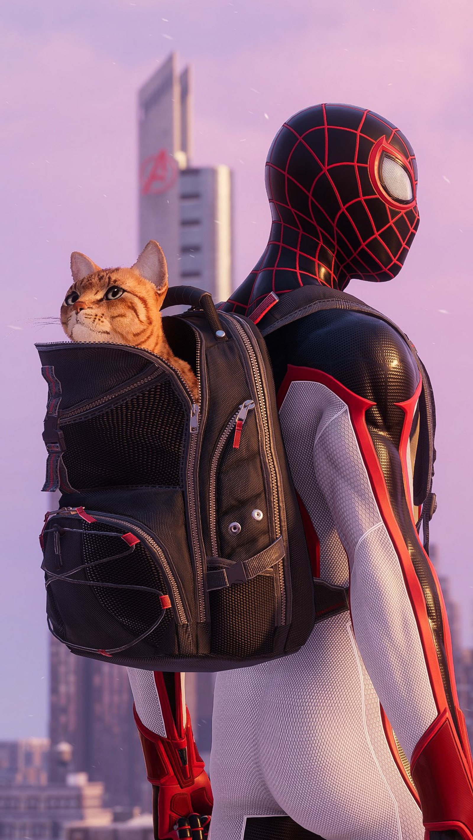 Spider - man with a cat in a backpack on his back (cat, games, juegos, man, miles morales)