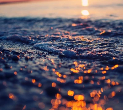 Golden Waves at Sunset on the Beach