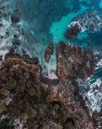 Aerial view of a rocky coastline with vibrant turquoise waters and lush vegetation.