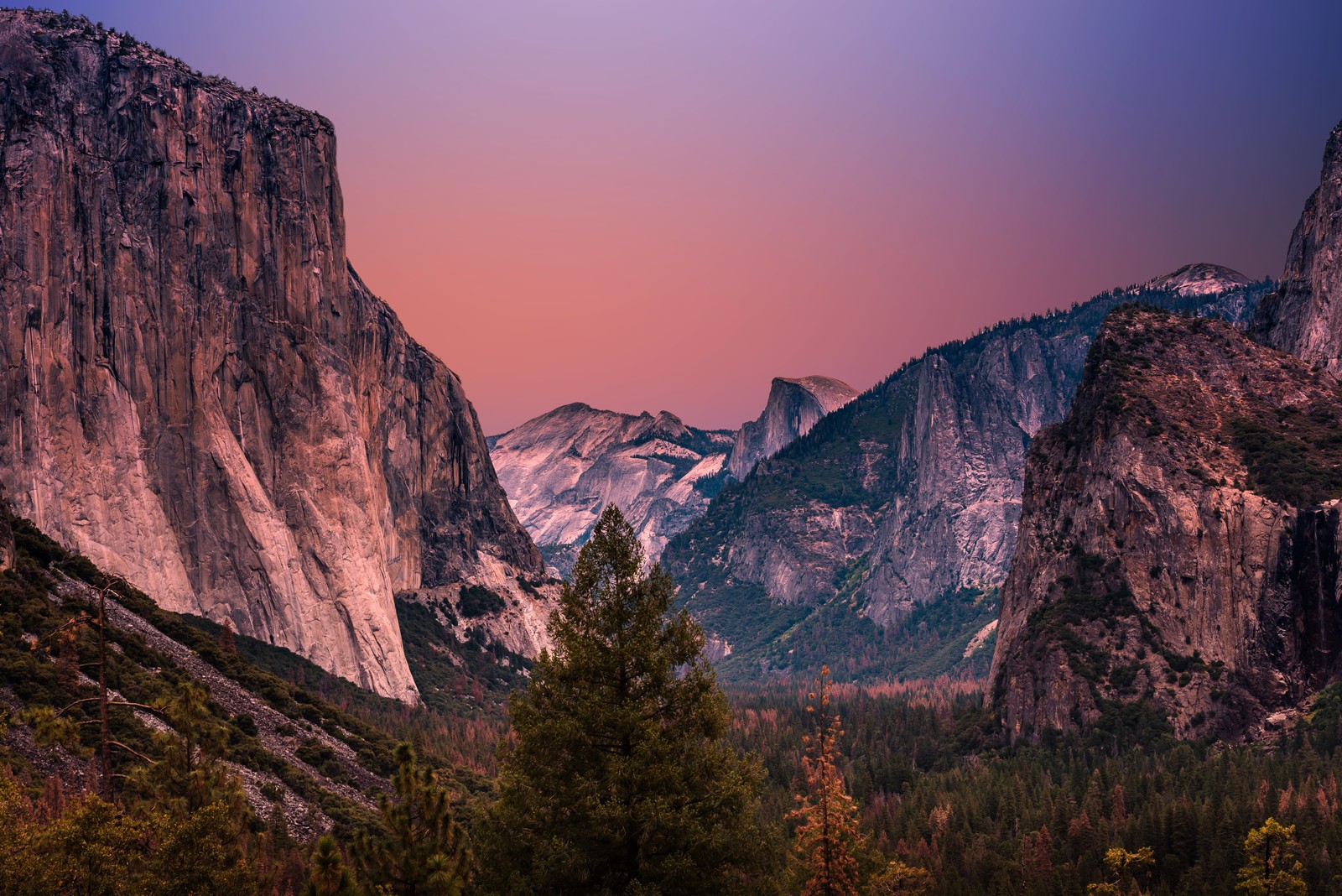 Вид на горы и деревья на закате с вершины долины (долина йосемити, yosemite valley, соединённые штаты, золотой час, пейзаж)