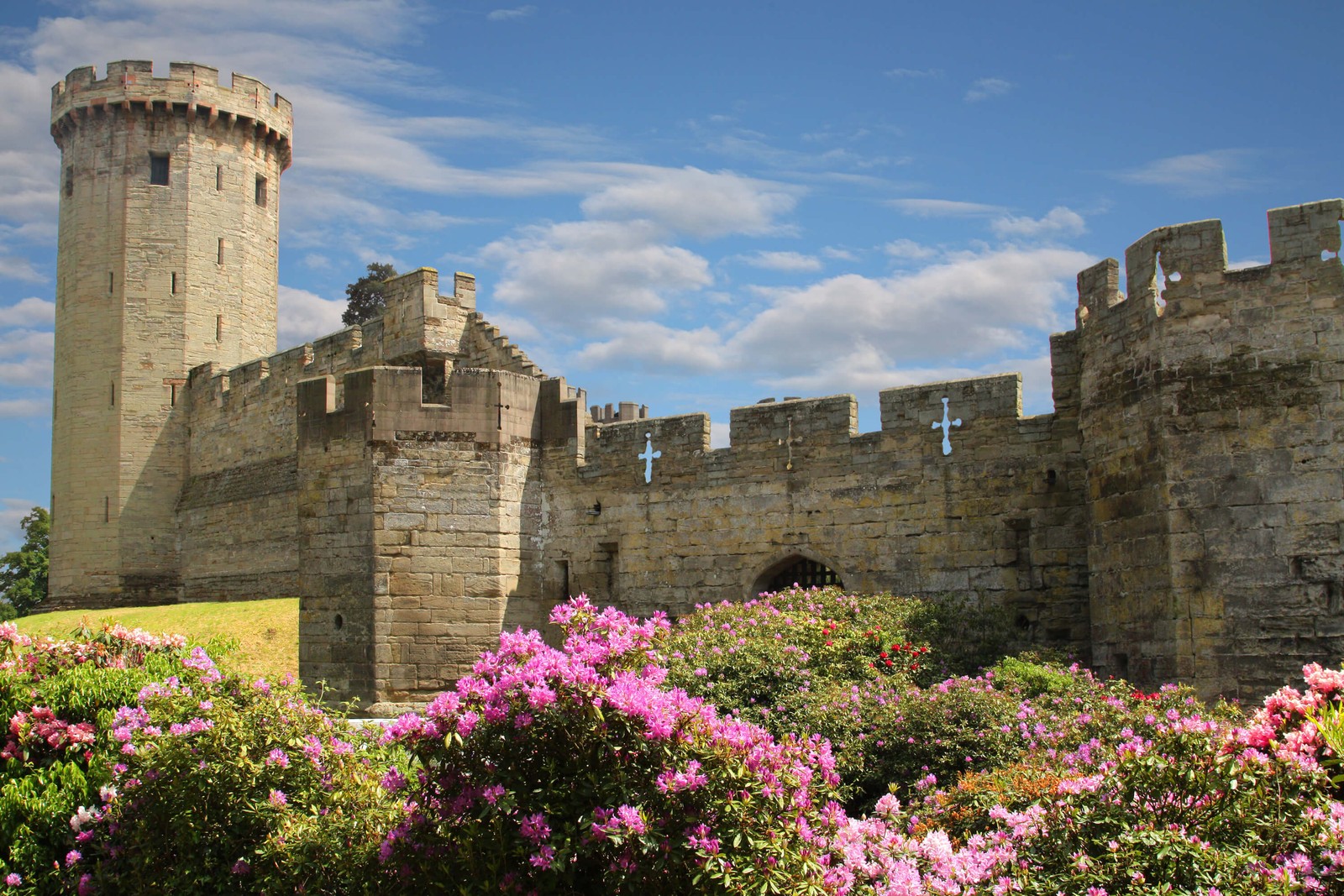 Arafed castle with a tower and a garden of flowers (historic site, castle, medieval architecture, fortification, building)