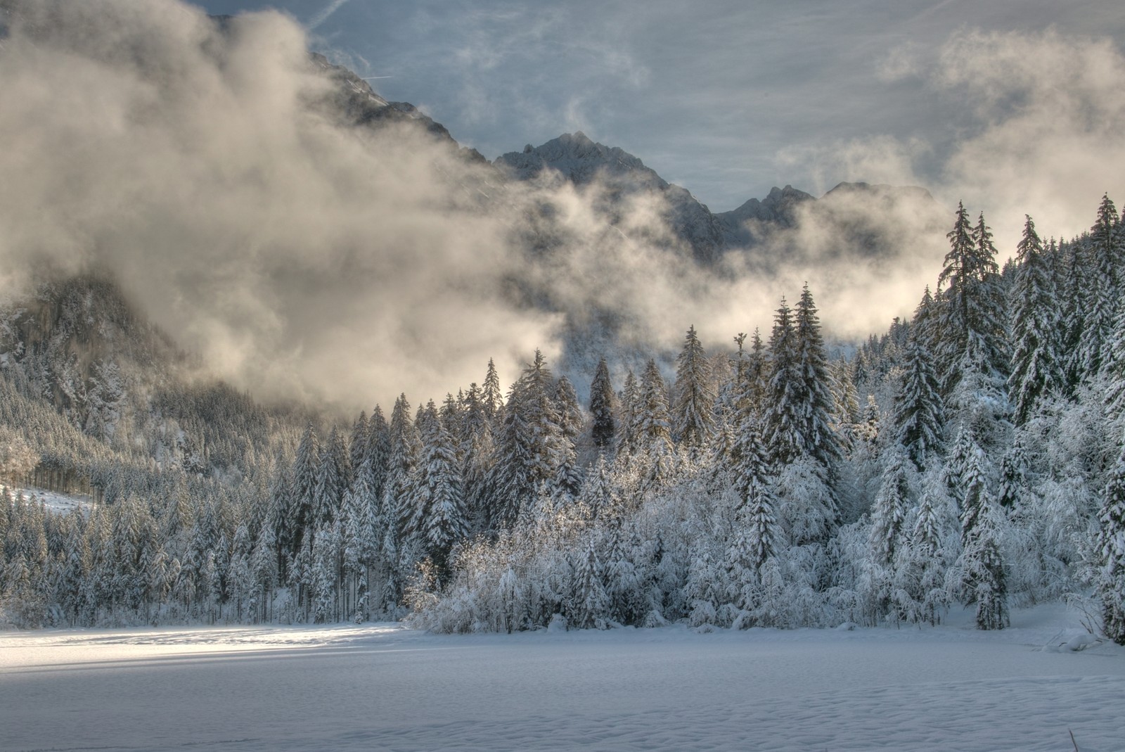 Descargar fondo de pantalla invierno, nieve, naturaleza, congelación, árbol