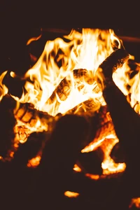 Vibrant Flames Igniting Firewood in a Bonfire