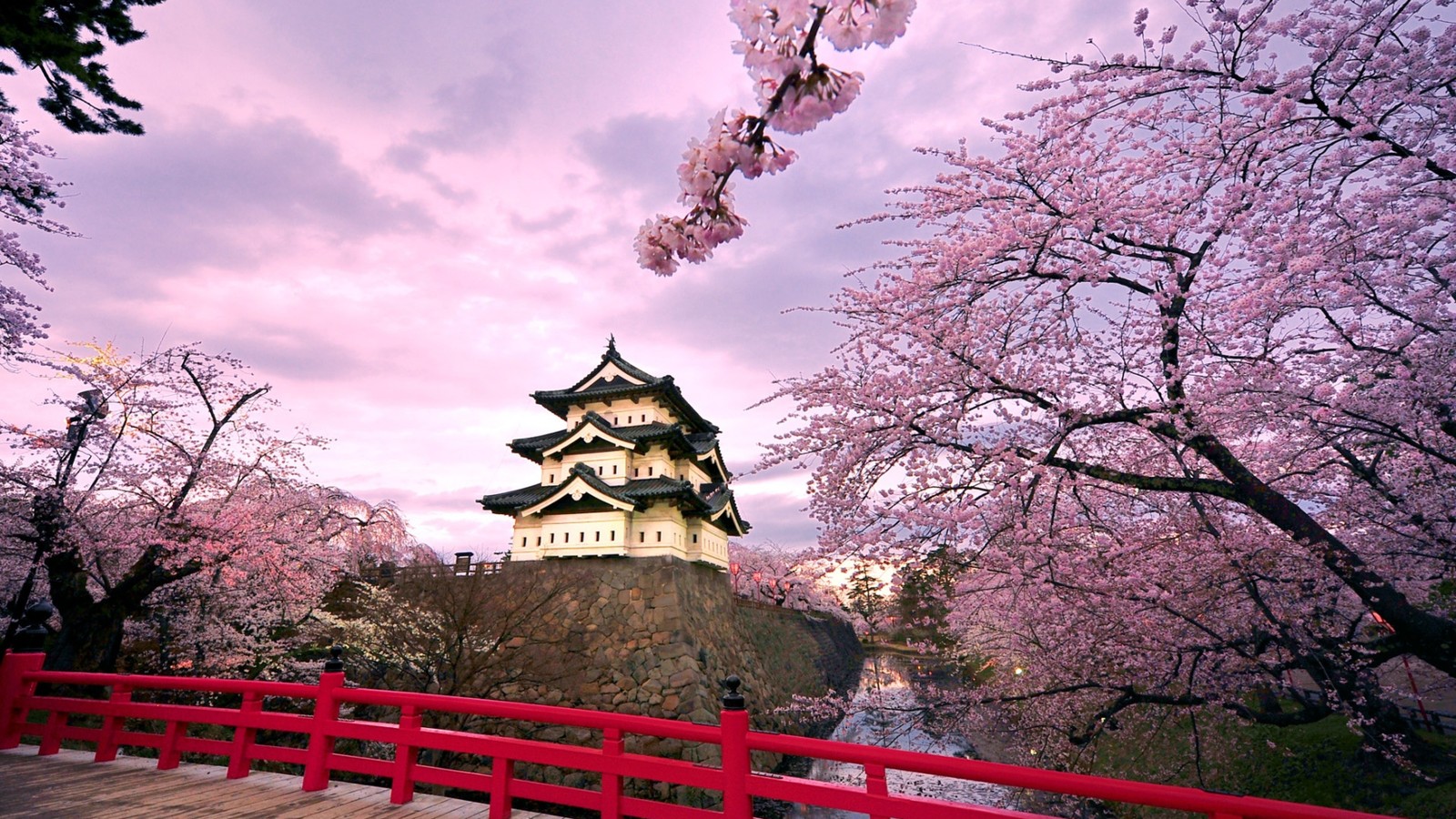 Uma visão artificial de um castelo japonês com flores de cerejeira em primeiro plano (castelo japonês, flor de cerejeira, castelo, flor, florescimento)