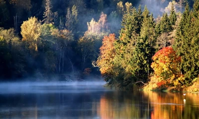 Tranquil Autumn Reflections on a Misty Lake