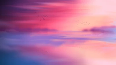 ciel rose, horizon, pittoresque, oiseaux volants, paysage marin