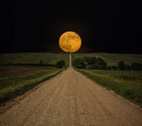 Caminho iluminado pela lua através de campos verdes serenos