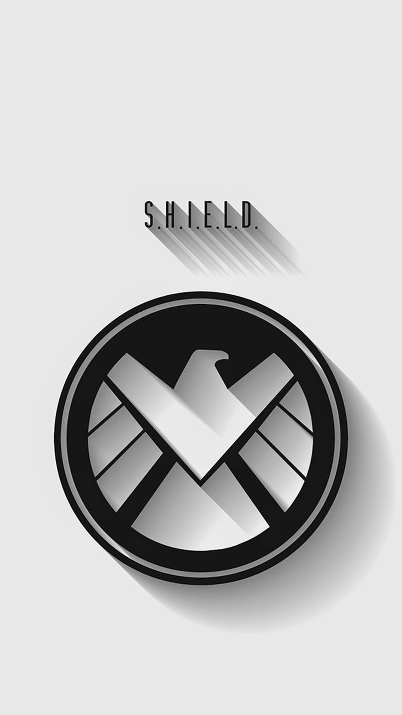 A close up of a shield logo with a shadow on a white background (shield, wallpaper)