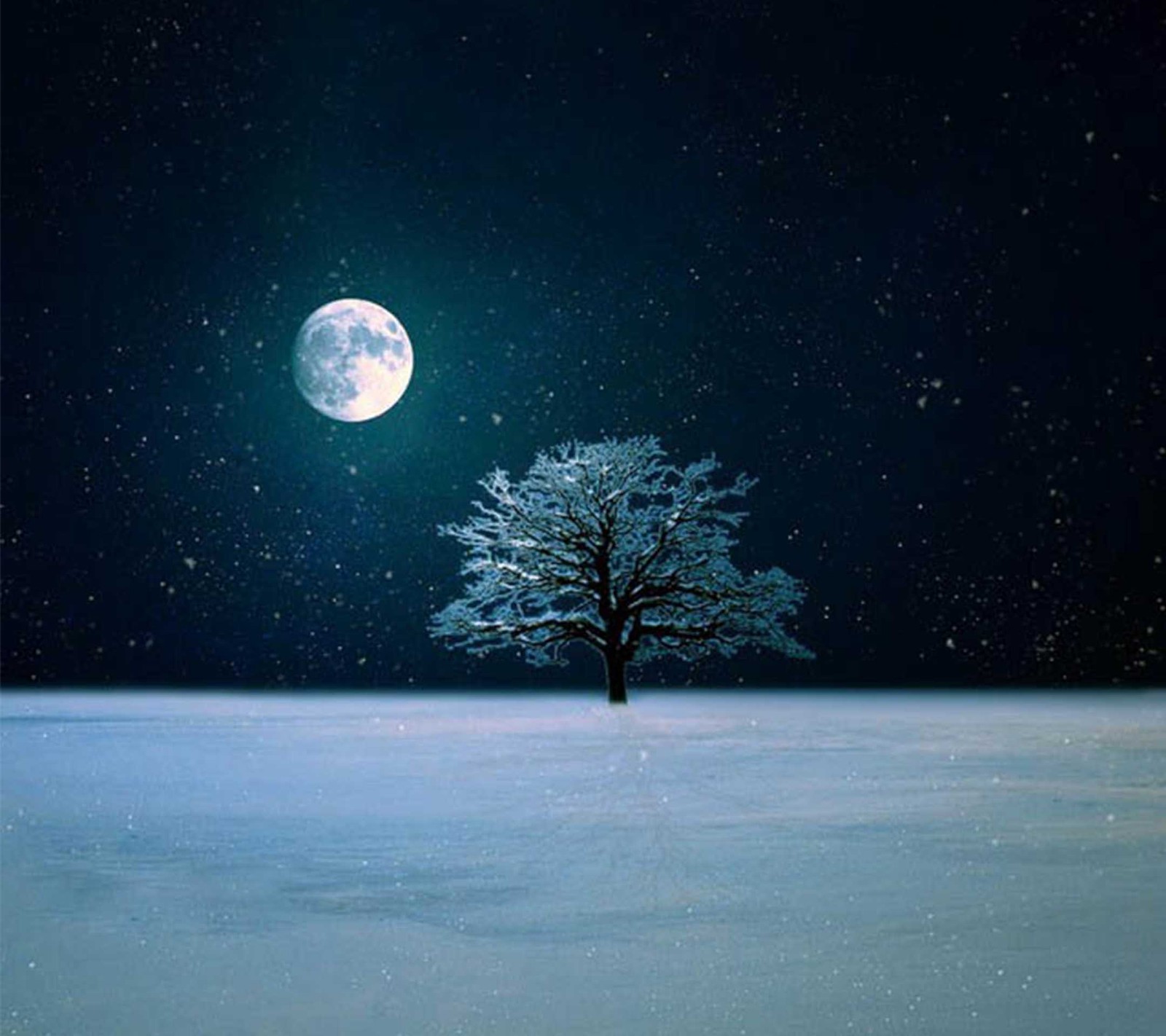 Un arbre solitaire dans un champ enneigé avec une pleine lune en arrière-plan (nuit, hiver)