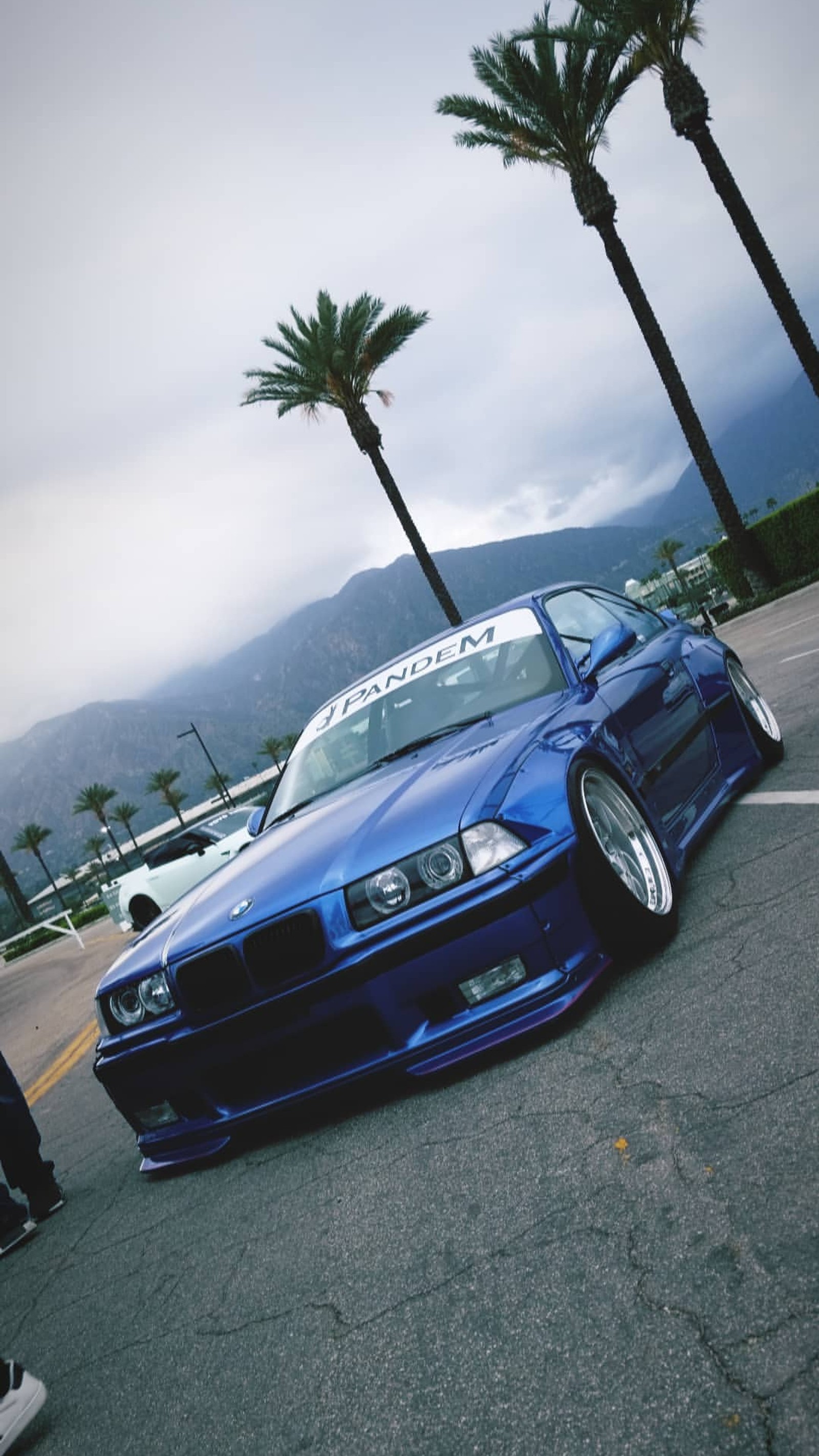 Arafed blue car parked in a parking lot with palm trees (bmw, e36, german, m3, mpower)