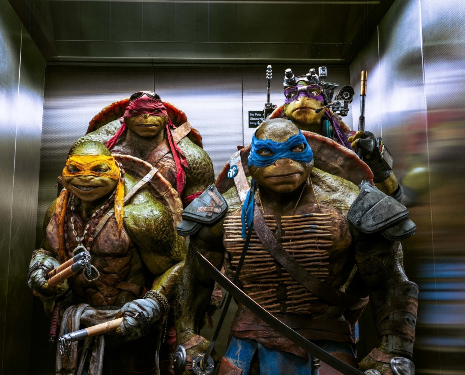 fighting, ninja turtles, shredder, splinter, turtles Download Wallpaper