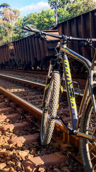 Bicicleta de montanha ao lado da linha de trem em um campo cênico