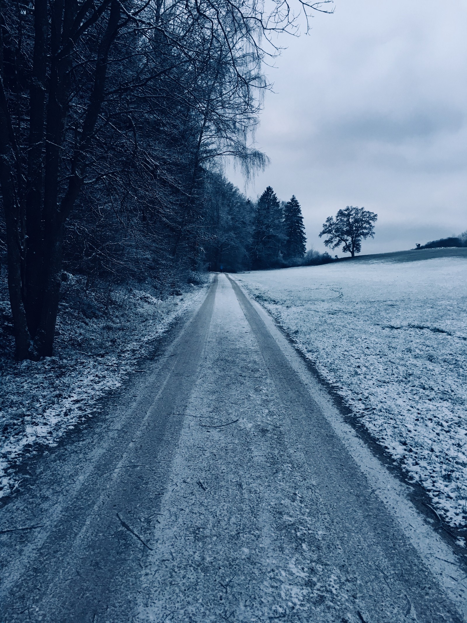 Lade tag, deutschland, pfad, schnee, threes Hintergrund herunter