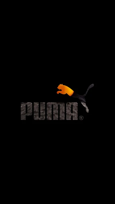 duveteux, puma