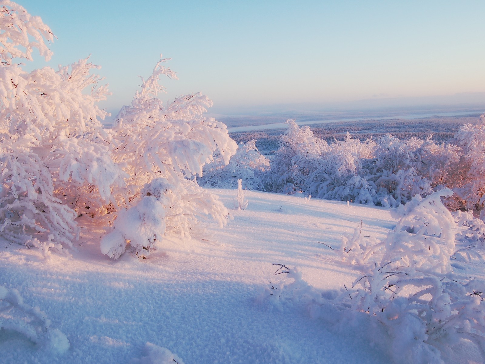 Baixar papel de parede bonito, congelar, neve