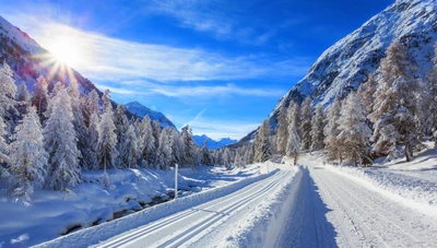 winter, winterstraße, schnee, straße, schneestraße