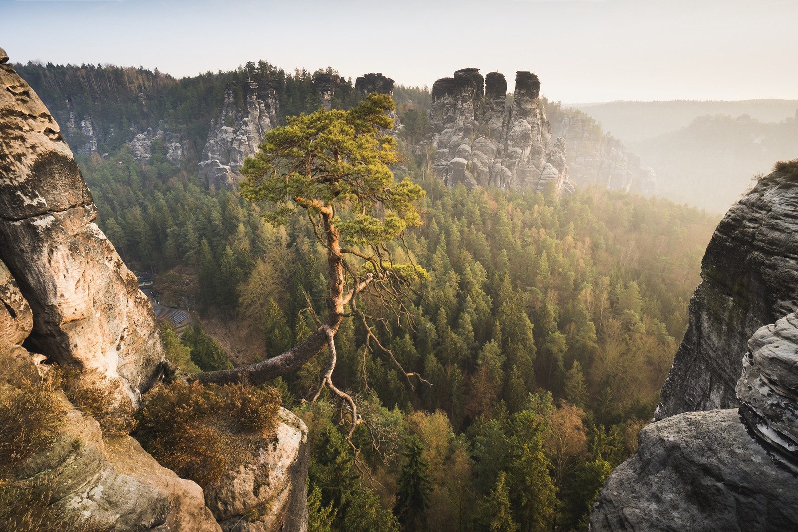 Uma árvore solitária crescendo na borda de um penhasco nas montanhas (cenário de montanha, natureza, formas montanhosas, rocha, montanha)