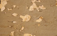 Peeling Paint on Textured Wall Background