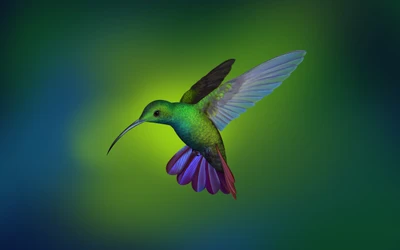 Colibrí vibrante en vuelo contra un fondo colorido