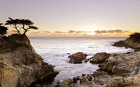 Sunset Over Rocky Shoreline with Coastal Tree