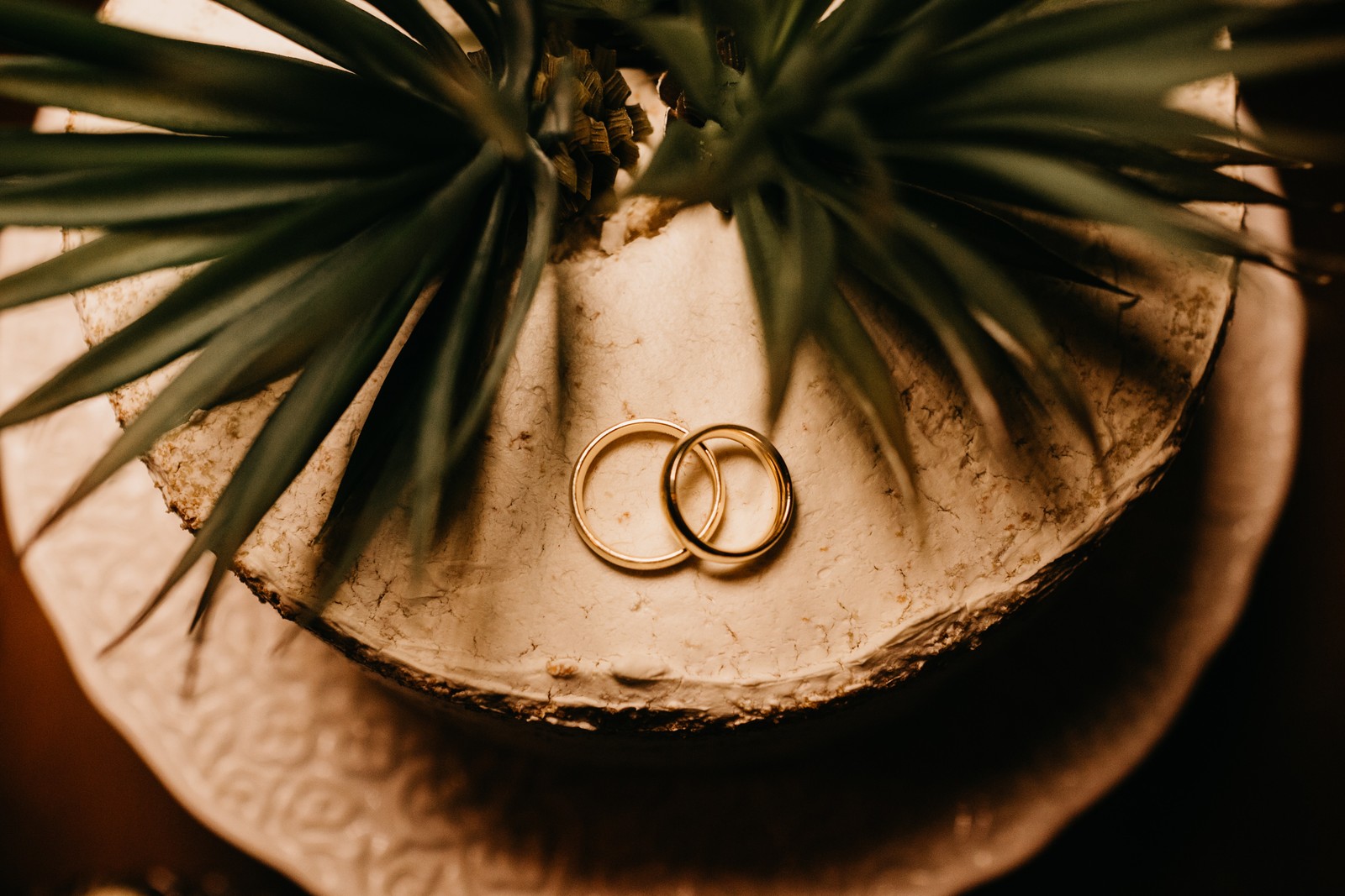 There are two wedding rings sitting on a plate next to a plant (plant, flower, wedding, metal, tree)